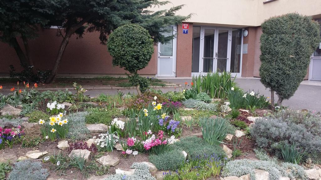 Veles Apartment Prague Ngoại thất bức ảnh